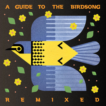 A GUIDE TO THE BIRDSONG REMIXED - VARIOUS VINYL (180G 2LP)