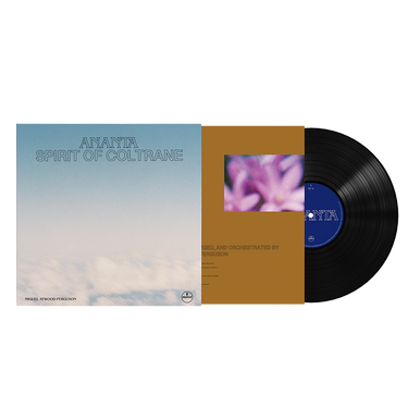 VINYL LP