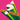 PANDA BEAR & SONIC BOOM - A ? OF WHEN VINYL (LTD. ED. PINK)
