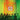 KING GIZZARD & THE LIZARD WIZARD - FLOAT ALONG - FILL YOUR LUNGS VINYL RE-ISSUE (LTD. ED. 180G LP)