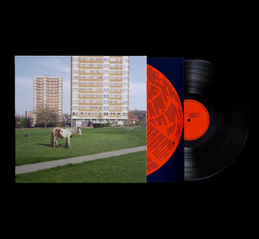 BLACK VINYL