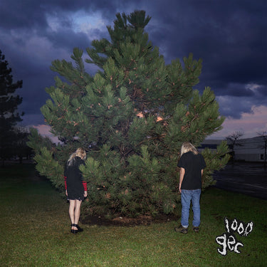 100 gecs - 1000 gecs limited edition vinyl