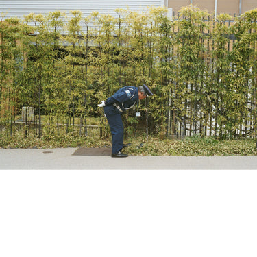 gold-panda-good-luck-and-do-your-best-vinyl