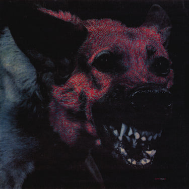 protomartyr-under-color-of-official-light-vinyl