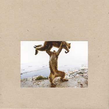 shellac-dude-incredible-vinyl