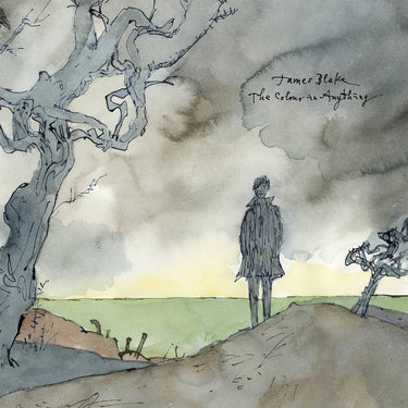 james-blake-the-colour-in-anything-vinyl-2lp