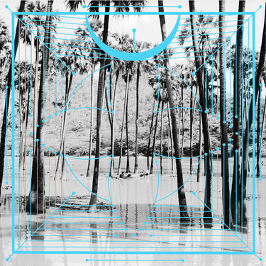 four-tet-pink-vinyl-2lp