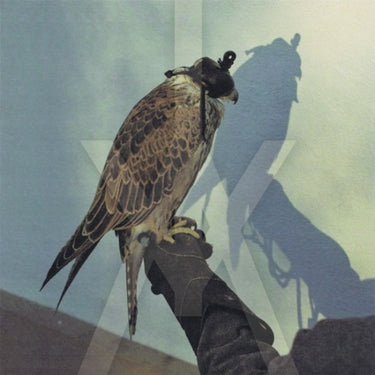 iceage-youre-nothing-vinyl