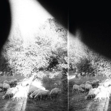 godspeed-you-black-emperor-asunder-sweet-and-other-distress-vinyl