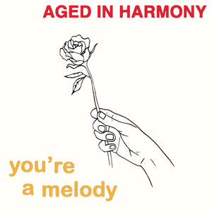 AGED IN HARMONY - YOU’RE A MELODY VINYL RE-PRESS (LTD. ED. 3x7”)