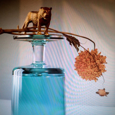 Beirut - Gallipoli limited edition vinyl