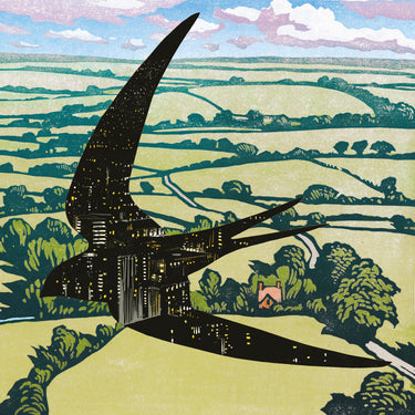 Bibio - Sleep On The Wing vinyl