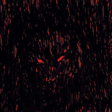 DJ Richard Dies Irae Xerox vinyl