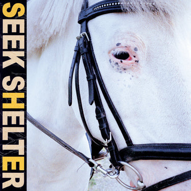 Iceage - Seek Shelter limited edition vinyl
