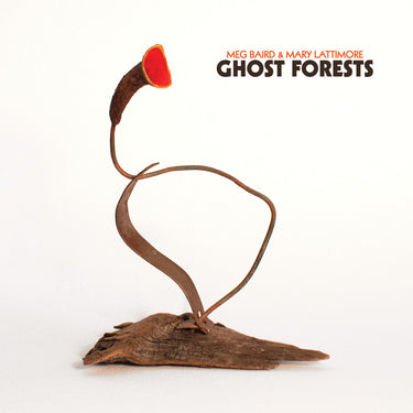 Meg Baird & Mary Lattimore - Ghost Forests limited edition vinyl