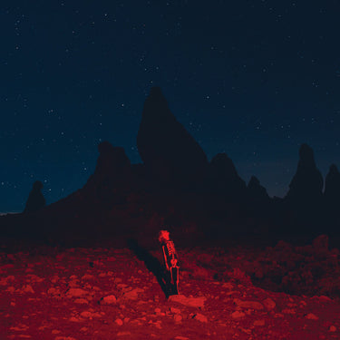 Phoebe Bridgers - Punisher limited edition vinyl