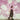 SOCCER MOMMY - SOMETIMES, FOREVER VINYL (LTD. ED. SEMI TRANSPARENT PINK)