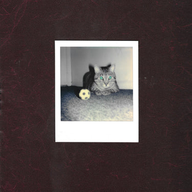 THE GOALIE’S ANXIETY AT THE PENALTY KICK - WAYS OF HEARING limited edition vinyl