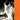 HYDROPLANE - SELECTED SONGS 1997-2003 VINYL RE-ISSUE (LTD. INDIES ED. ORANGE 2LP)