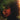 KELSEY LU - CHURCH (LTD. 10TH ANN. ED. MOSS GREEN 12" EP)