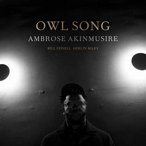 AMBROSE AKINMUSIRE - OWL SONG VINYL (LP)