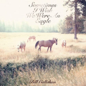 BILL CALLAHAN - SOMETIMES I WISH WE WERE AN EAGLE VINYL (LP)