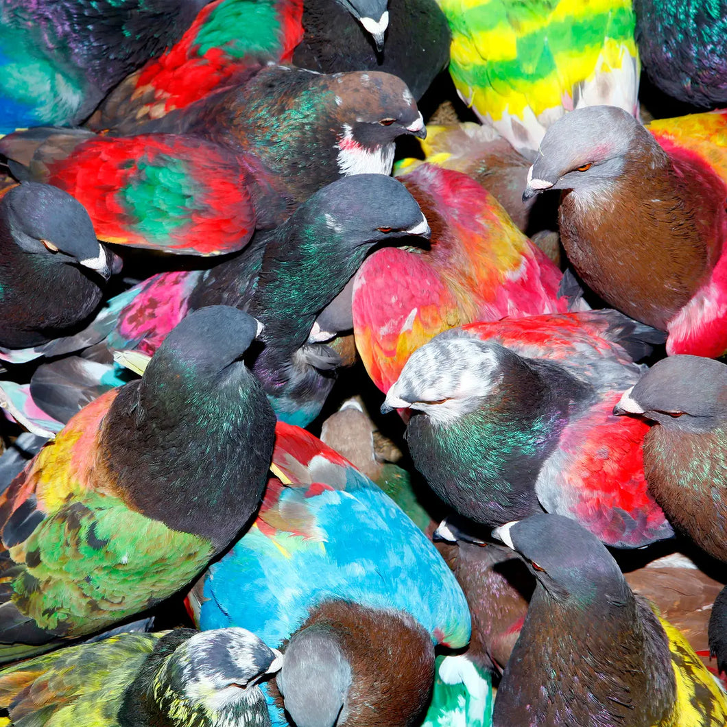 BLAWAN - SICKELIXIR VINYL (LP)