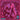 BAREBONES / BORIS - SPLIT LP VINYL RE-ISSUE (SUPER LTD. ED. CYAN W/ PURPLE & PINK SWIRL)
