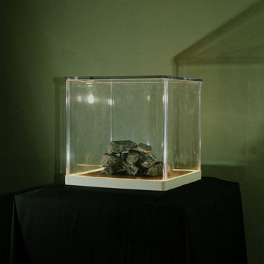 TRÁ PHÁIDÍN - CLOCH 'S CLAÍ VINYL (LTD. ED. LP)