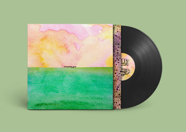 LIMITED EDITION LP