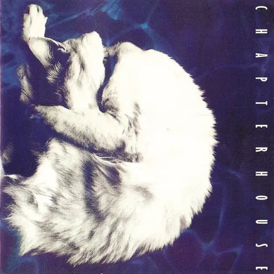 CHAPTERHOUSE - WHIRLPOOL VINYL RE-ISSUE (LTD. NUMBERED ED. 180G WHITE)