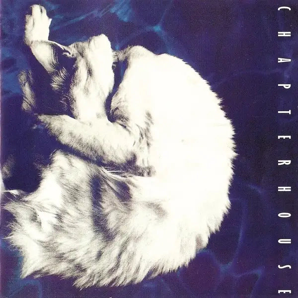 CHAPTERHOUSE - WHIRLPOOL VINYL RE-ISSUE (LTD. NUMBERED ED. 180G WHITE)