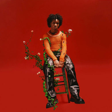 D4VD - PETALS TO THORNS VINYL (LTD. ED. BLACK ICE)