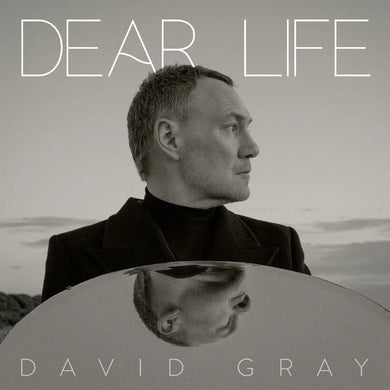 DAVID GRAY - DEAR LIFE VINYL (LTD. ED. SEAWEED GREEN 2LP GATEFOLD)