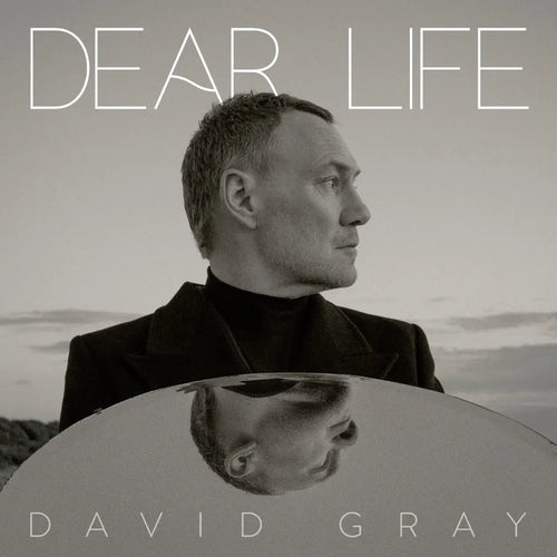 DAVID GRAY - DEAR LIFE VINYL (LTD. ED. SEAWEED GREEN 2LP GATEFOLD)