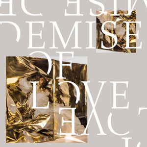 DEMISE OF LOVE - DEMISE OF LOVE VINYL (LTD. ED. 10")