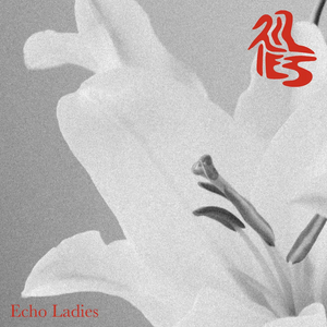 ECHO LADIES - LILIES VINYL (LTD. ED. VARIANTS)