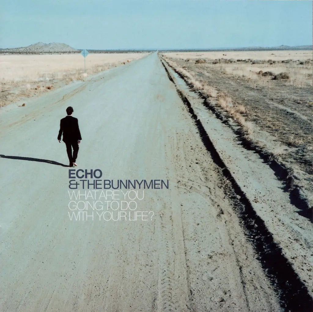 ECHO & THE BUNNYMEN - WHAT ARE YOU GOING TO DO WITH YOUR LIFE? VINYL RE-ISSUE (LTD. ED. TRANSPARENT)