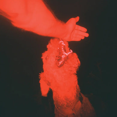 ELI WINTER - A TRICK OF THE LIGHT VINYL (LTD. ED. 'OPTICAL ILLUSION' TRANSPARENT RED)