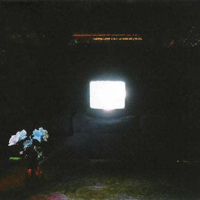 EMERALDS - DOES IT LOOK LIKE I'M HERE? VINYL RE-ISSUE (LTD. ED. 'ECTOMORPH' 2LP)