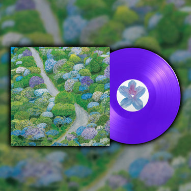 FIDDLEHEAD - BETWEEN THE RICHNESS VINYL RE-ISSUE (LTD. ED. PURPLE)