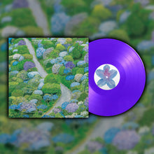 FIDDLEHEAD - BETWEEN THE RICHNESS VINYL RE-ISSUE (LTD. ED. PURPLE)
