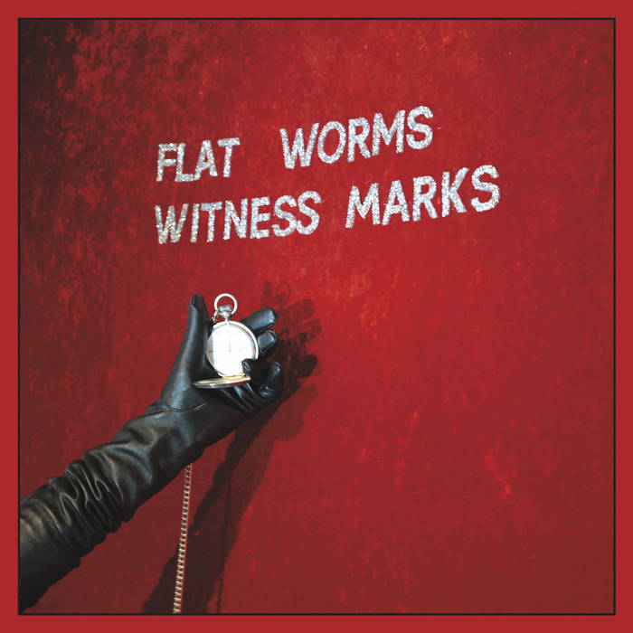 FLAT WORMS - WITNESS MARKS VINYL (LP)