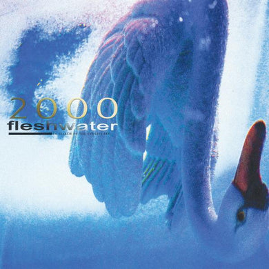 FLESHWATER - 2000: IN SEARCH OF THE ENDLESS SKY VINYL (LTD. INDIES ED. FLUORESCENT PINK)