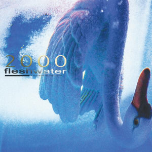 FLESHWATER - 2000: IN SEARCH OF THE ENDLESS SKY VINYL (LTD. INDIES ED. FLUORESCENT PINK)