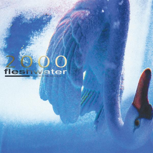 FLESHWATER - 2000: IN SEARCH OF THE ENDLESS SKY VINYL (LTD. INDIES ED. FLUORESCENT PINK)