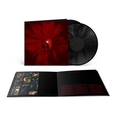 FLOATING POINTS & SAN FRANCISCO BALLET ORCHESTRA - MERE MORTALS VINYL (2LP GATEFOLD)