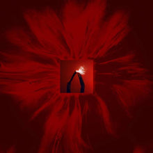 FLOATING POINTS & SAN FRANCISCO BALLET ORCHESTRA - MERE MORTALS VINYL (2LP)