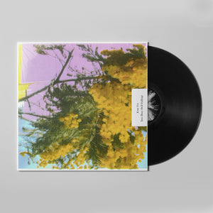FOUR TET - INTO DUST (STILL FALLING) VINYL (LTD. ED. 12")