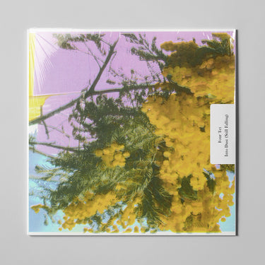 FOUR TET - INTO DUST (STILL FALLING) VINYL (LTD. ED. 12")